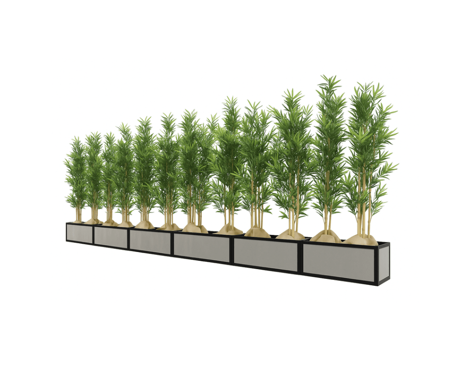 Planta bambú