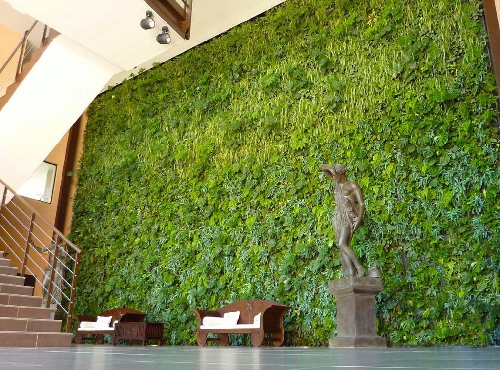 Jardín vertical verde