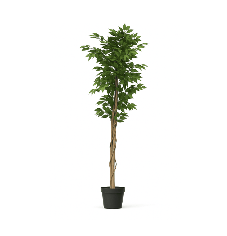 Arbol bambú